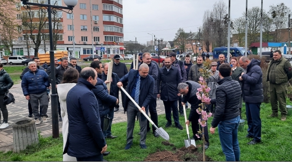 ulu-onderin-100-illiyi-munasibetile-kiyevde-sakura-agaclari-ekilib-foto