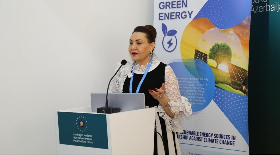 azerbaycanda-kechirilen-cop29-tedbiri-olkemizin-ugurudur-sekine-babayeva