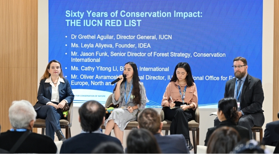 leyla-eliyeva-cop29-cherchivesinde-nadir-canlilarin-muhafizesine-hesr-olunan-panel-muzakirelerinde-ishtirak-edib