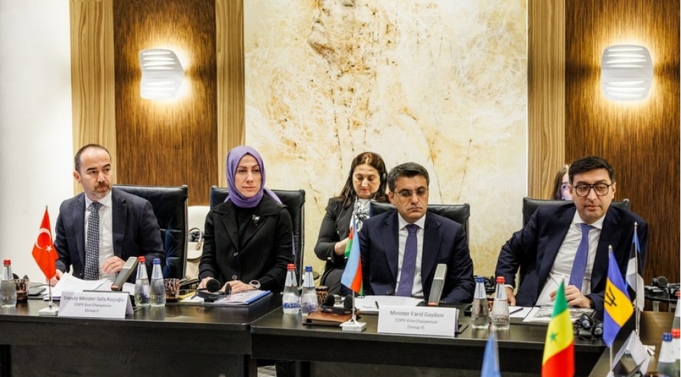 ferid-qayibov-cop9-un-buro-iclasinda-ishtirak-edib